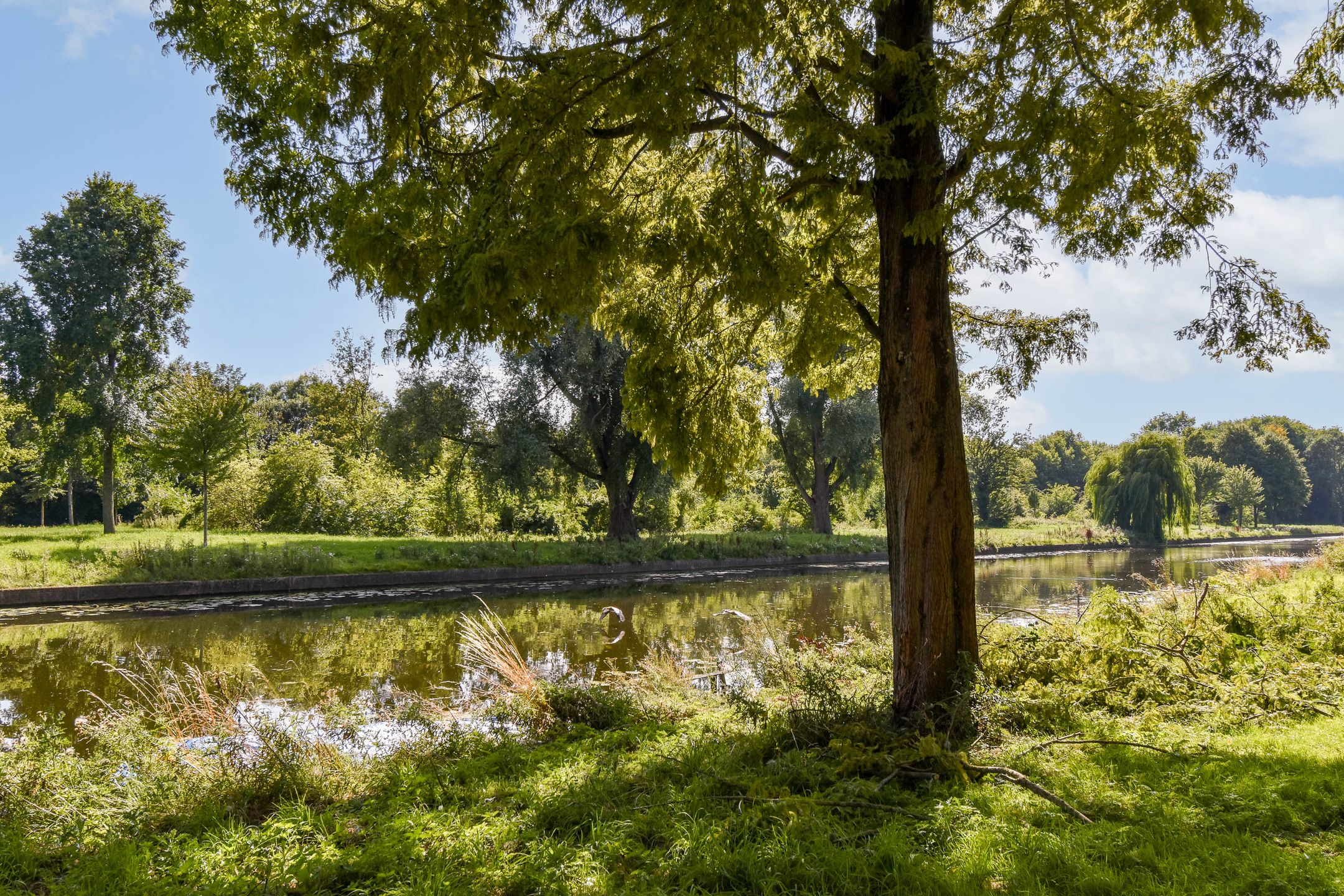 Foto 18 van Fien de la Mar Straat 25