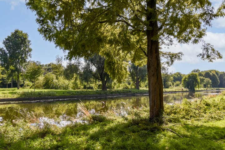 Foto 18 van Fien de la Mar Straat 25