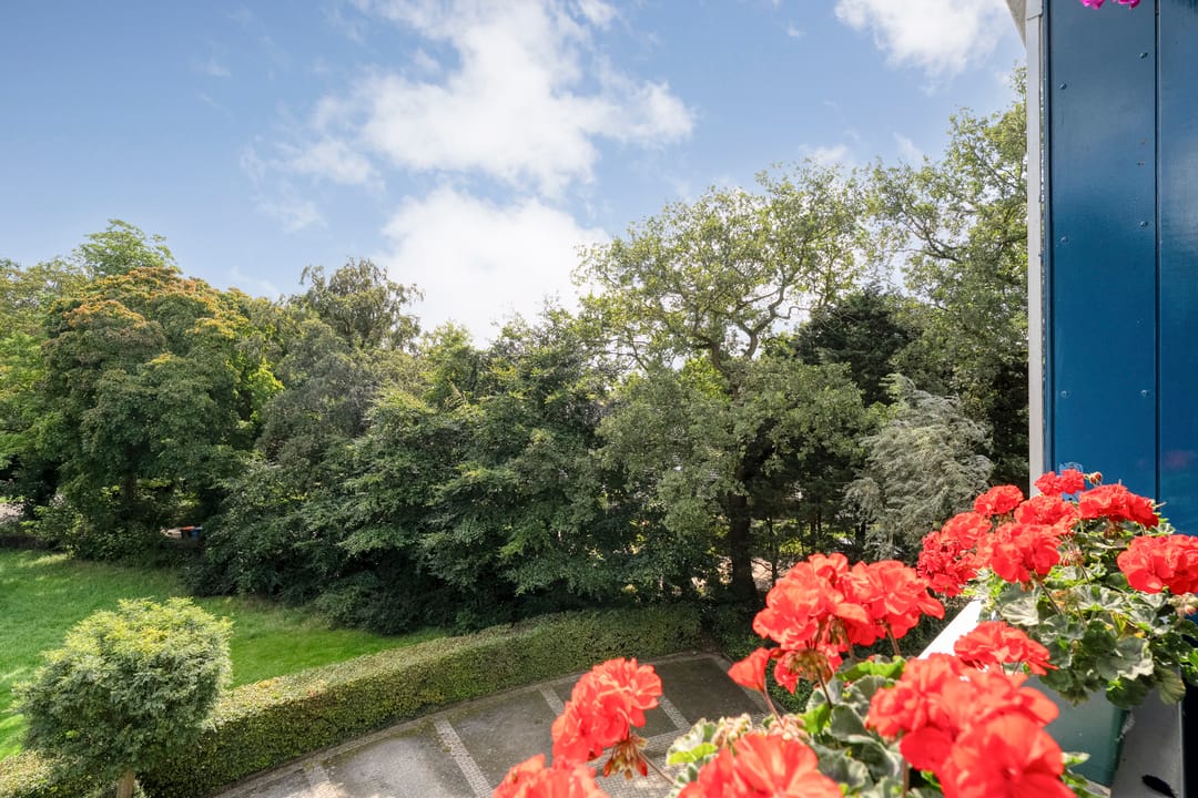 Foto 26 van Rommestraat 139