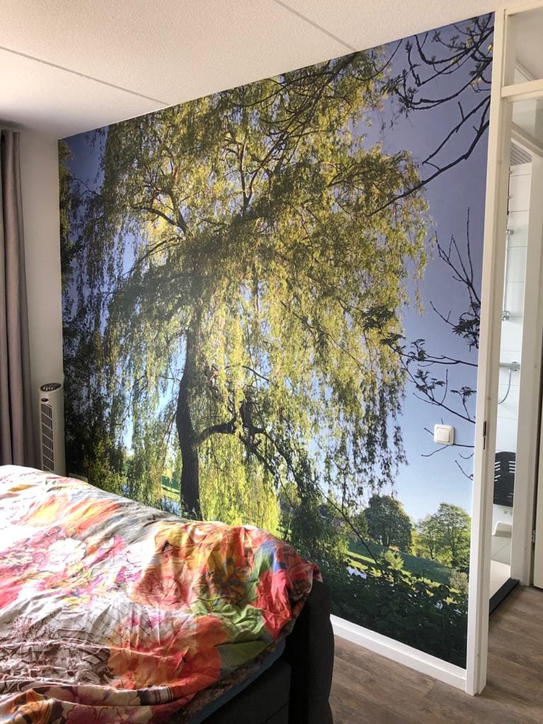 Photo 7 of Knotwilg 17