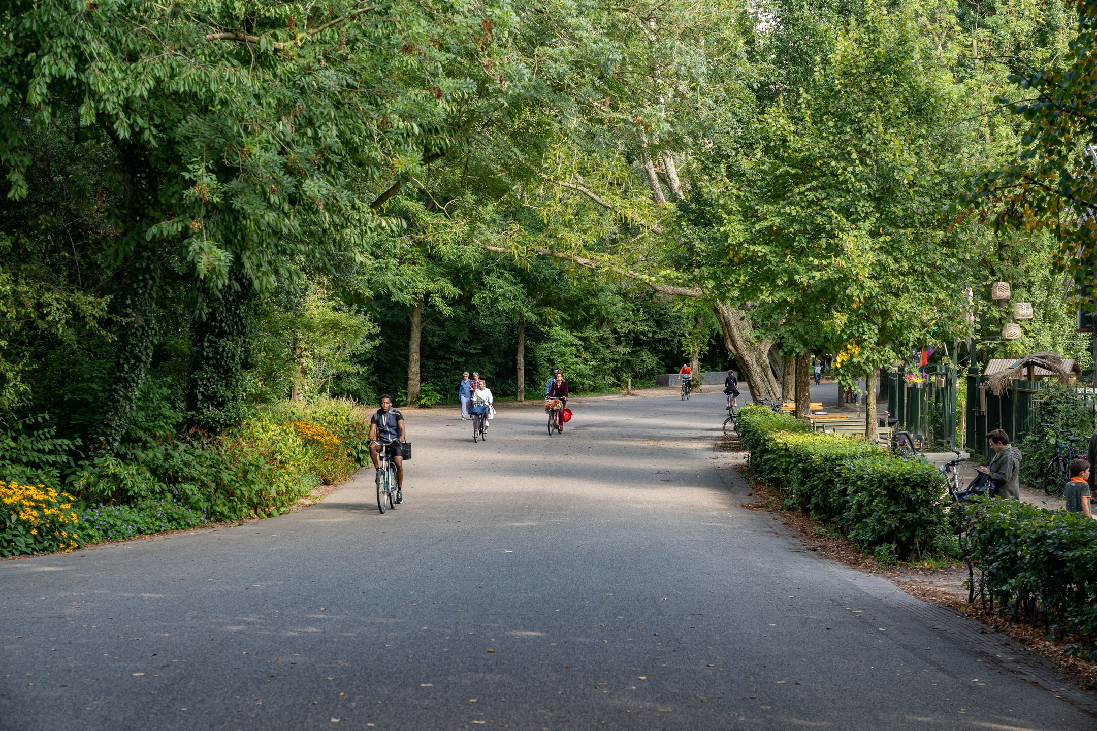 Foto 27 van Theophile de Bockstraat 89-H
