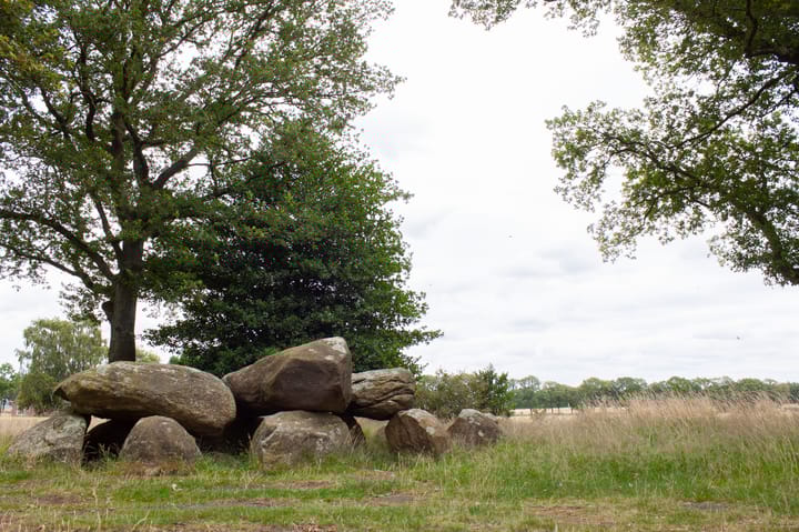 Foto 41 van De Drift 3-315