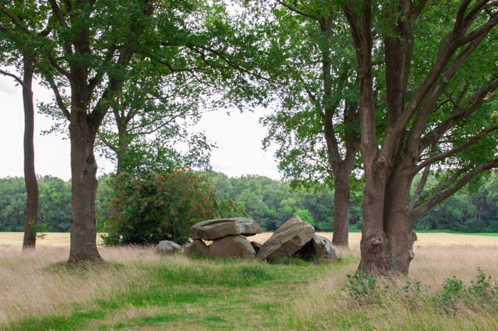 Foto 42 van De Drift 3-315