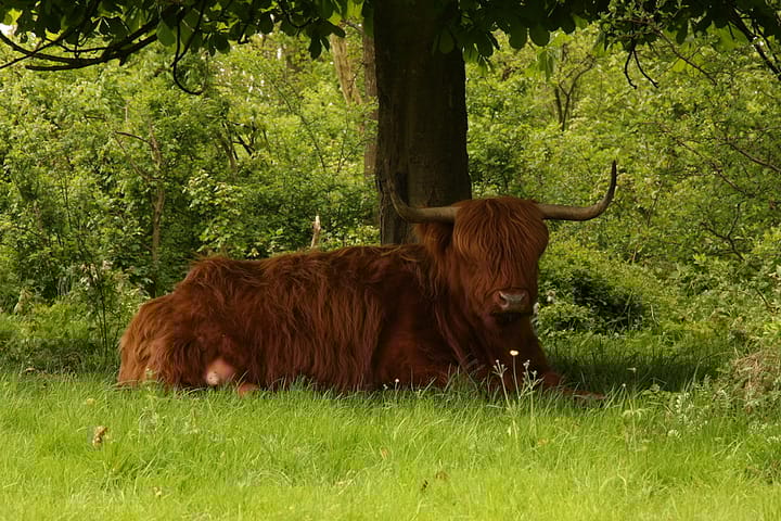 Foto 40 van Akkerend 1-2