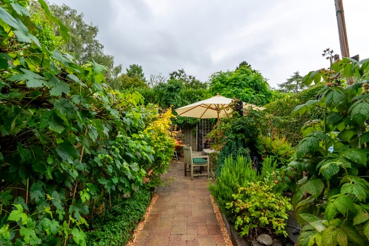 Foto 30 van Wijttenbachweg 81