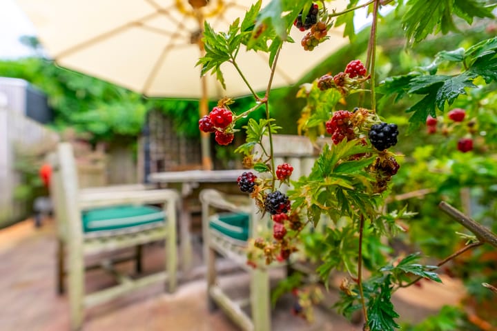 Foto 33 van Wijttenbachweg 81