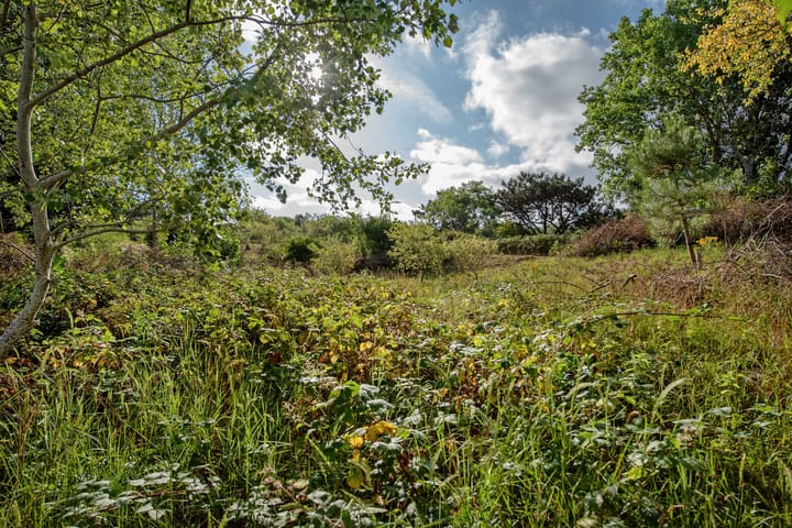 Foto 34 van Tholensestraat 109