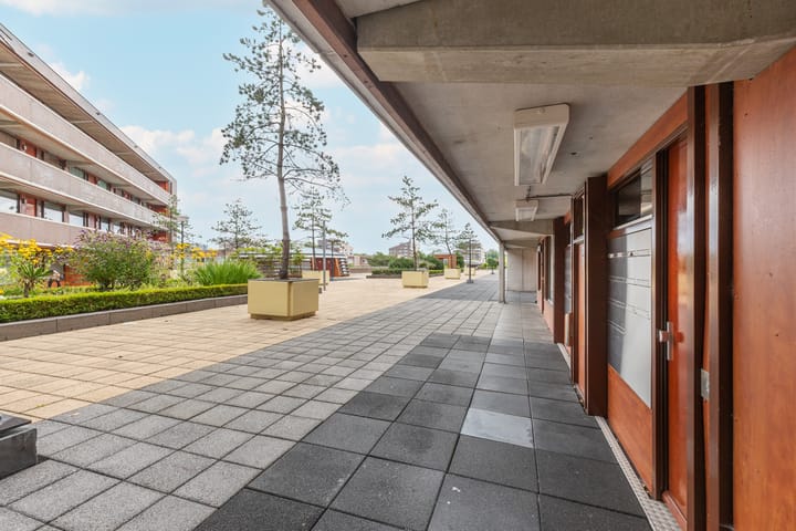 Foto 35 van Pieter Calandlaan 668