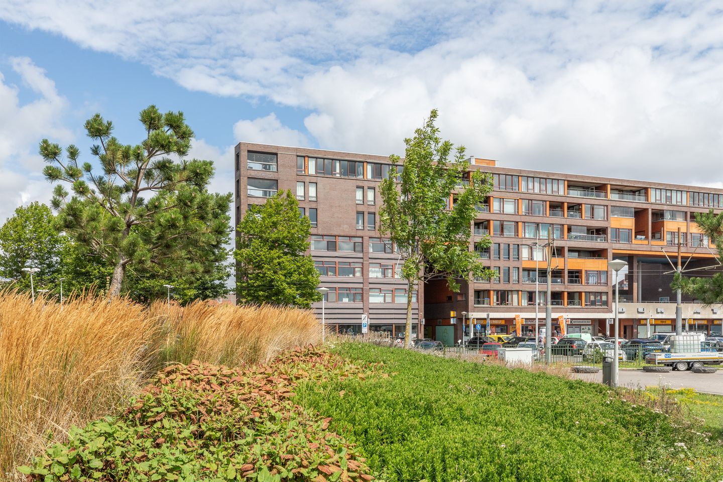 Photo 40 of Pieter Calandlaan 668