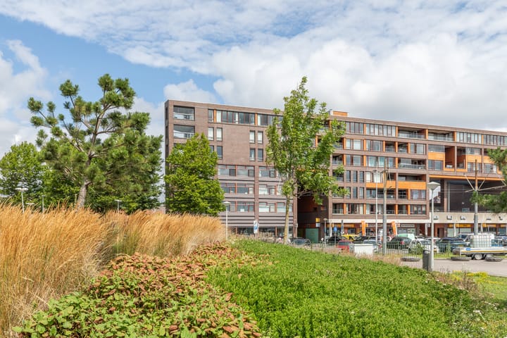 Foto 40 van Pieter Calandlaan 668