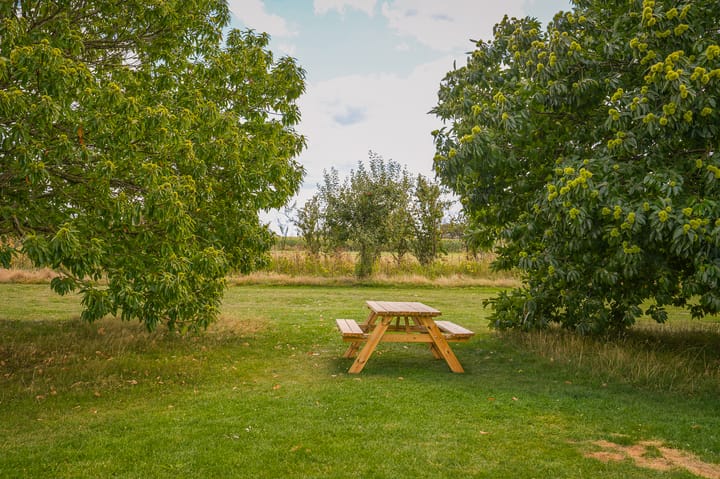 Foto 2 van Erichemsekade 8-37