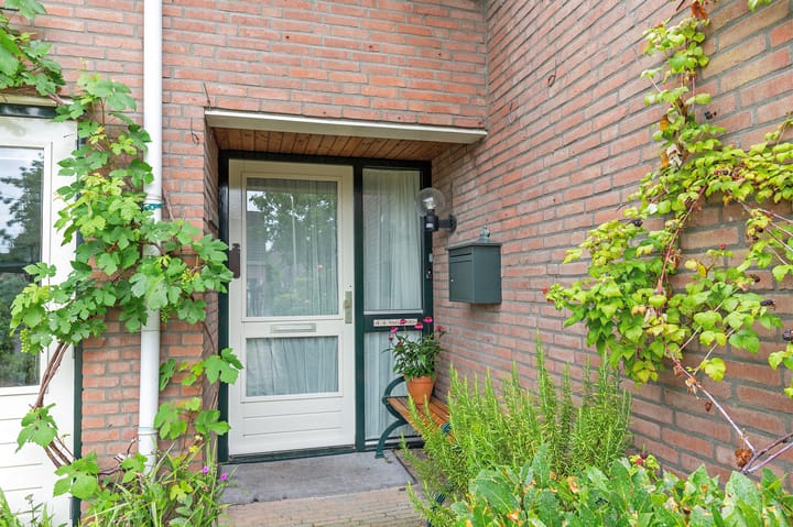 Foto 6 van Kûperij 8