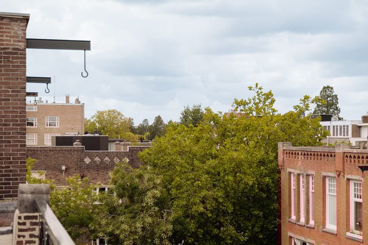 Photo 40 of Wouwermanstraat 33-2