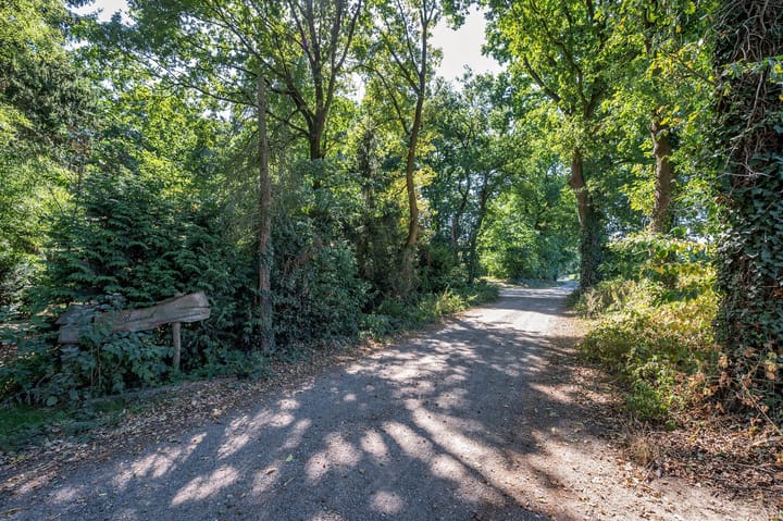 Foto 75 van Bertus Aafjesstraat 31