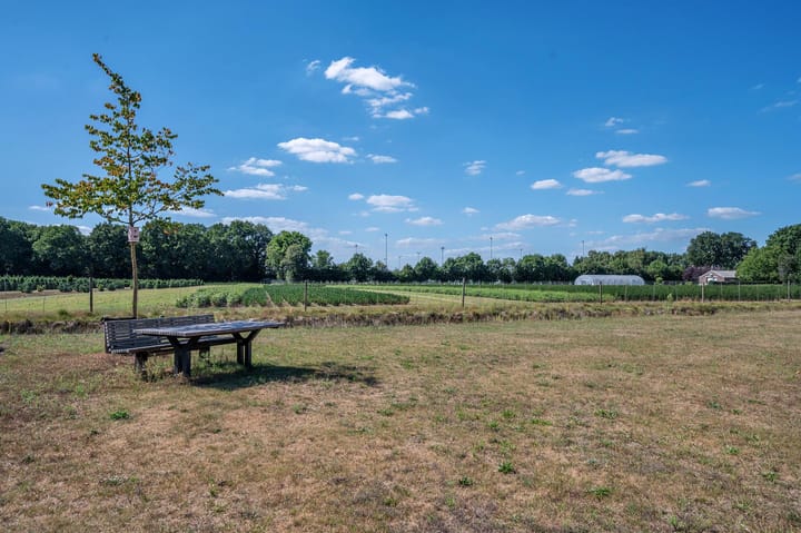 Foto 69 van Bertus Aafjesstraat 31