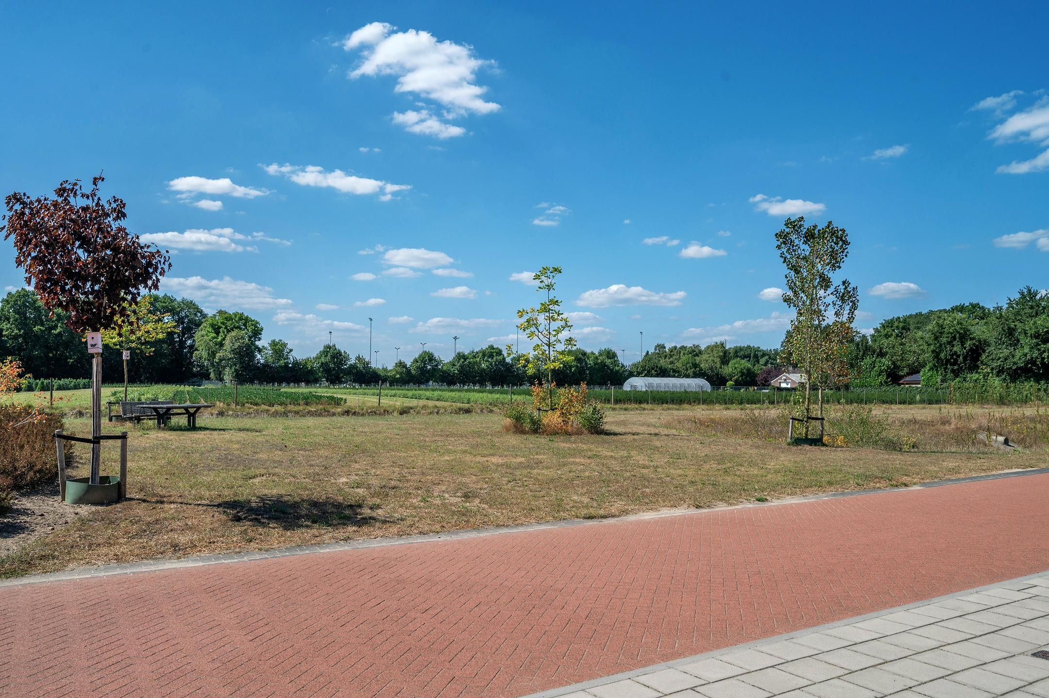 Foto 66 van Bertus Aafjesstraat 31