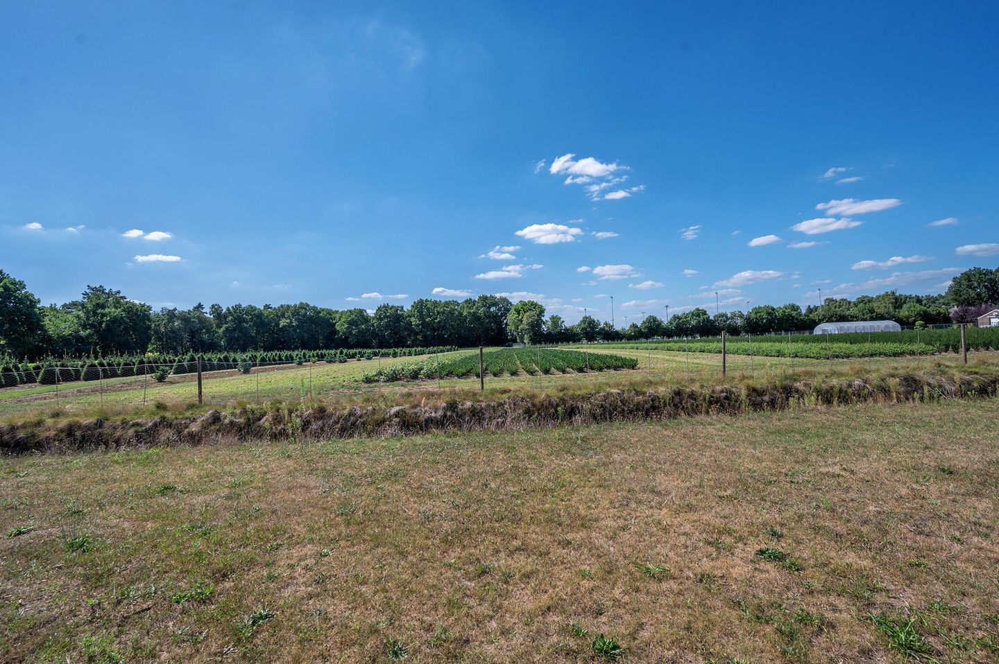 Foto 70 van Bertus Aafjesstraat 31