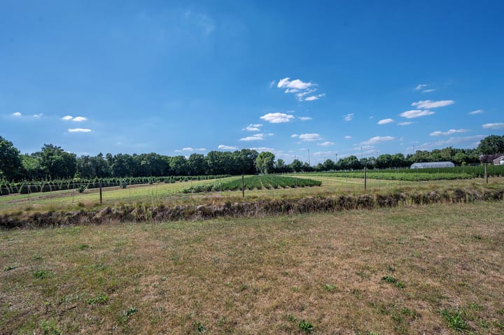 Foto 70 van Bertus Aafjesstraat 31