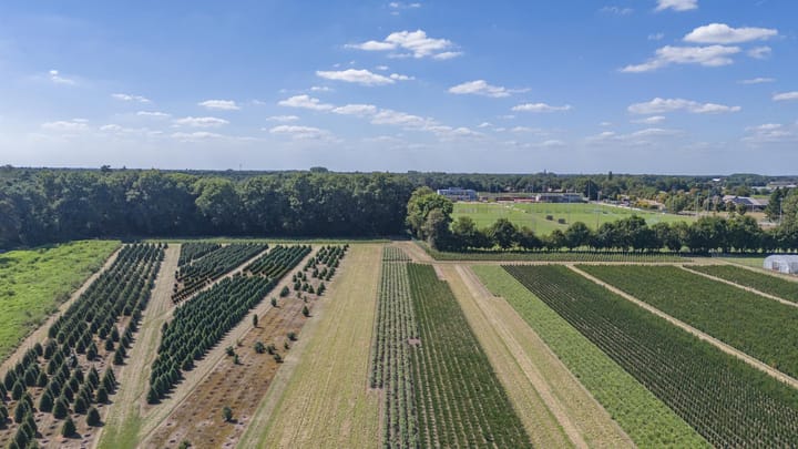 Foto 81 van Bertus Aafjesstraat 31