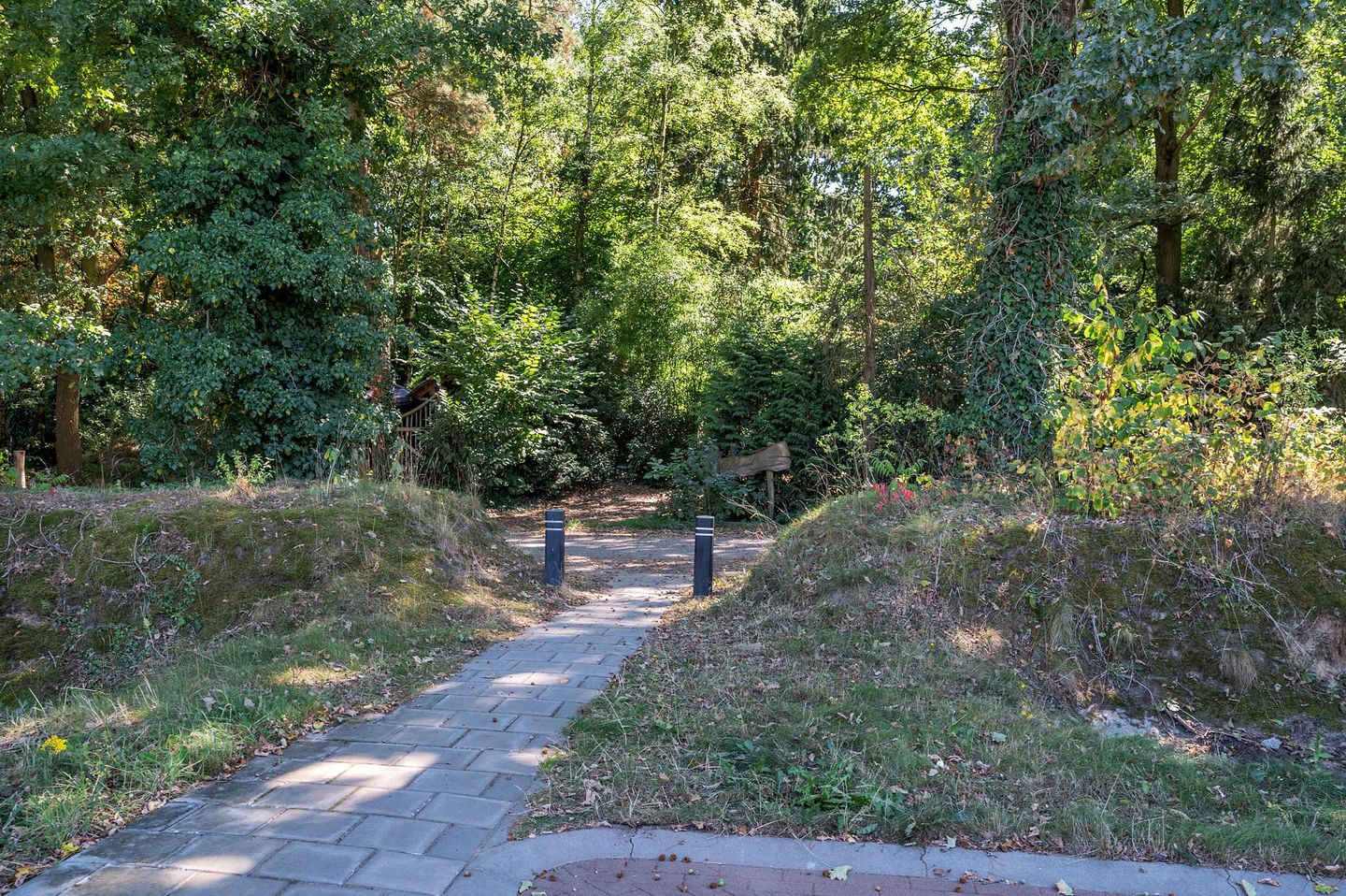 Foto 74 van Bertus Aafjesstraat 31