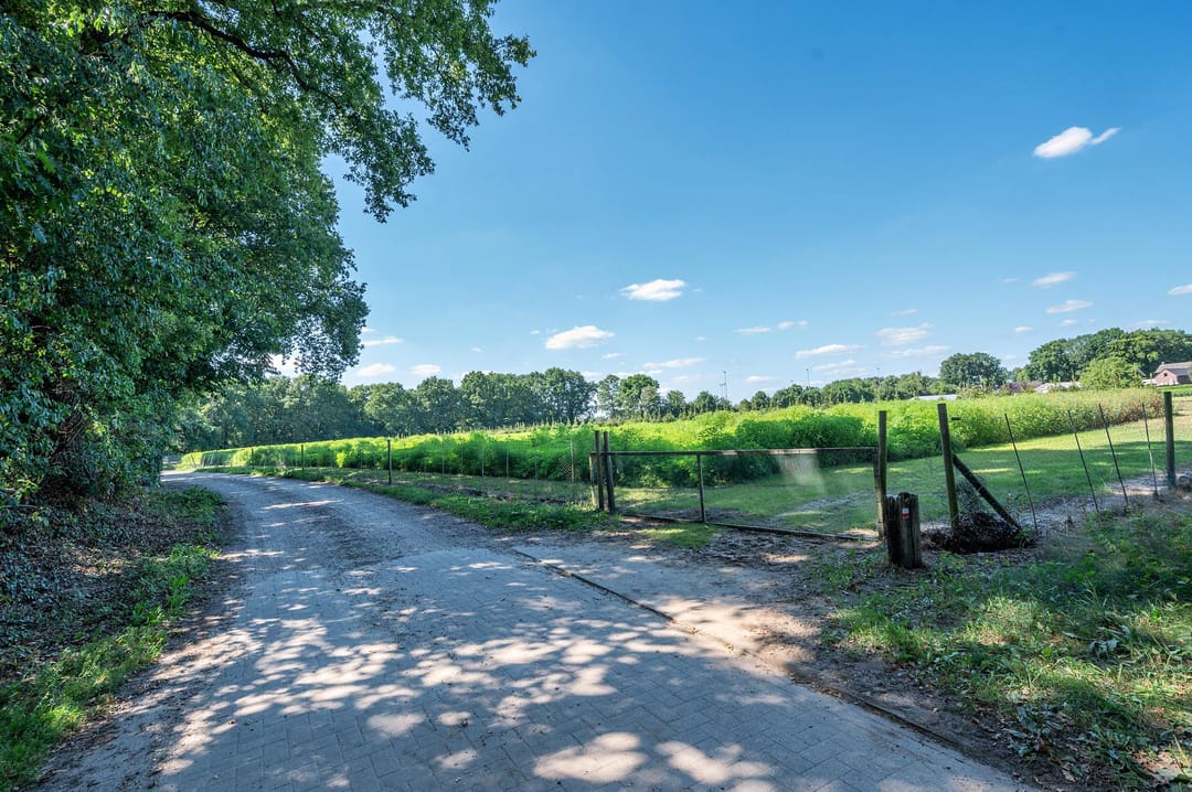 Foto 76 van Bertus Aafjesstraat 31