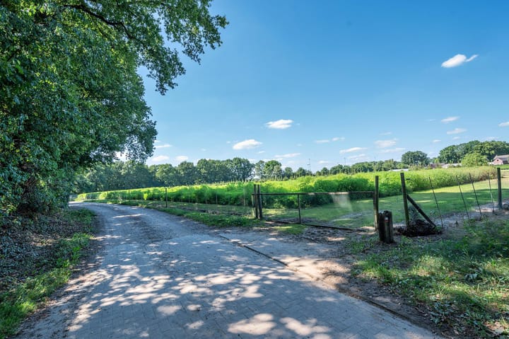 Foto 76 van Bertus Aafjesstraat 31