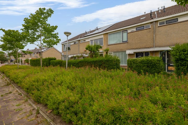 Foto 10 van Kikkerveen 130