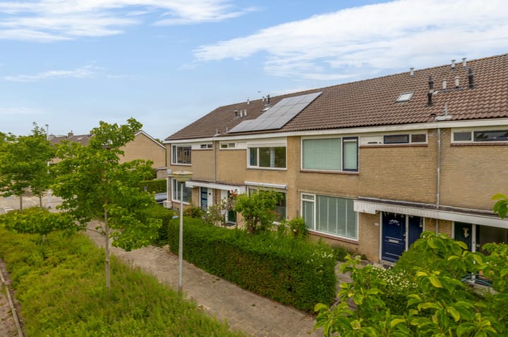 Foto 11 van Kikkerveen 130