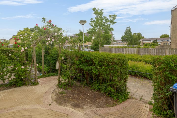 Foto 13 van Kikkerveen 130