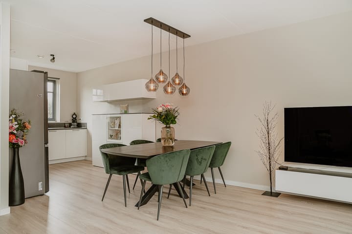 Foto 5 van Tinbergenplantsoen 39