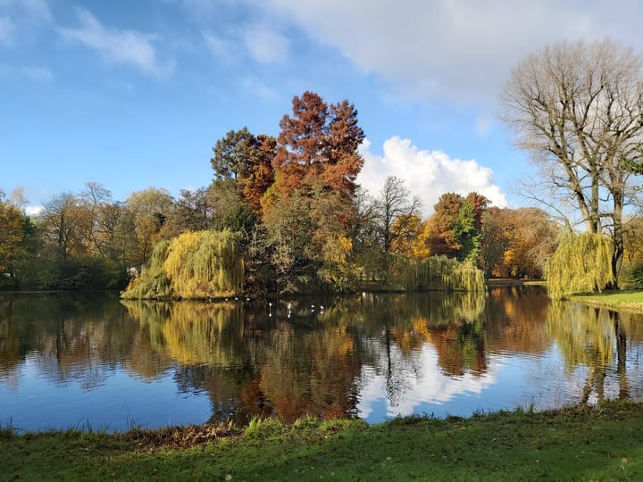 Foto 35 van Koningslaan 21