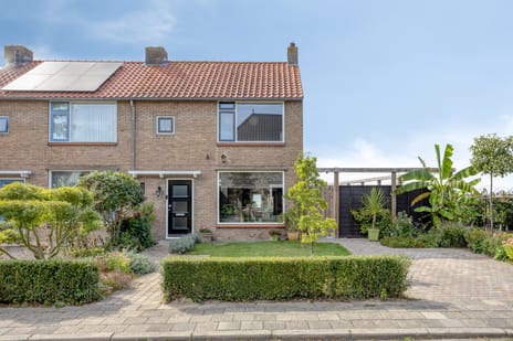 undefined main image