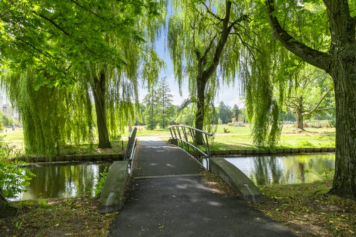 Foto 47 van Geert Grootestraat 27