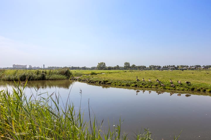 Foto 51 van Johan Ellenbergerstraat 42