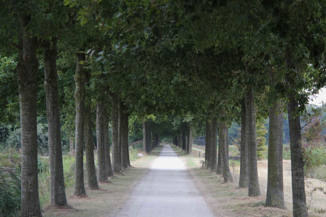 Foto 47 van Tamboer 13