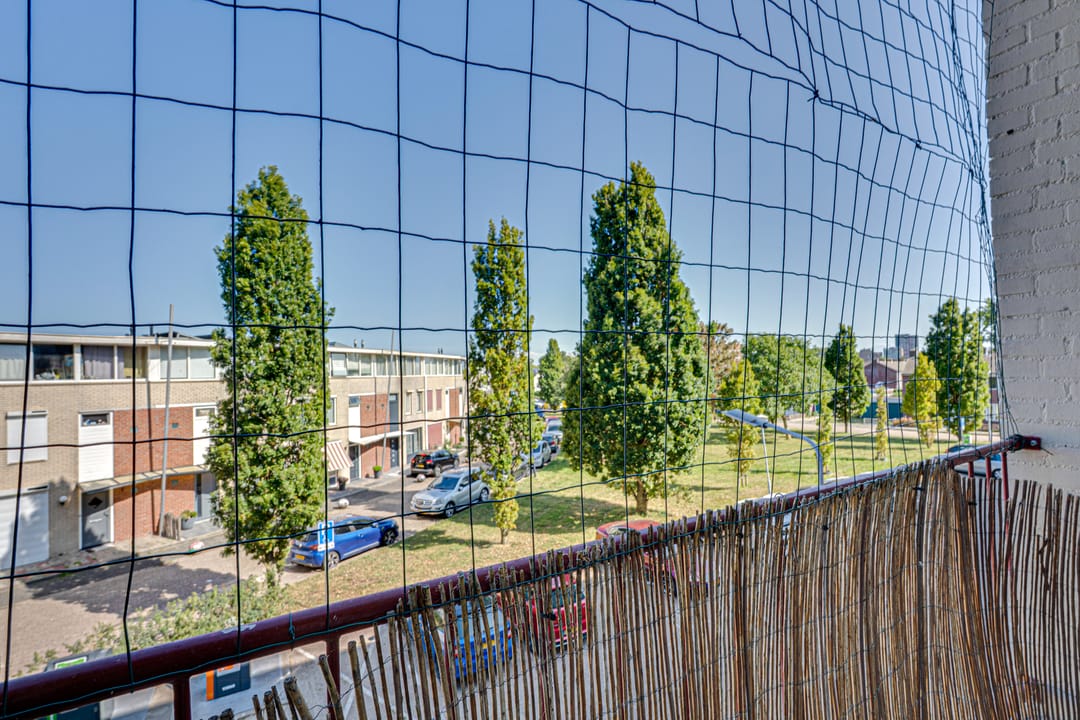 Foto 31 van Schaepmanstraat 51