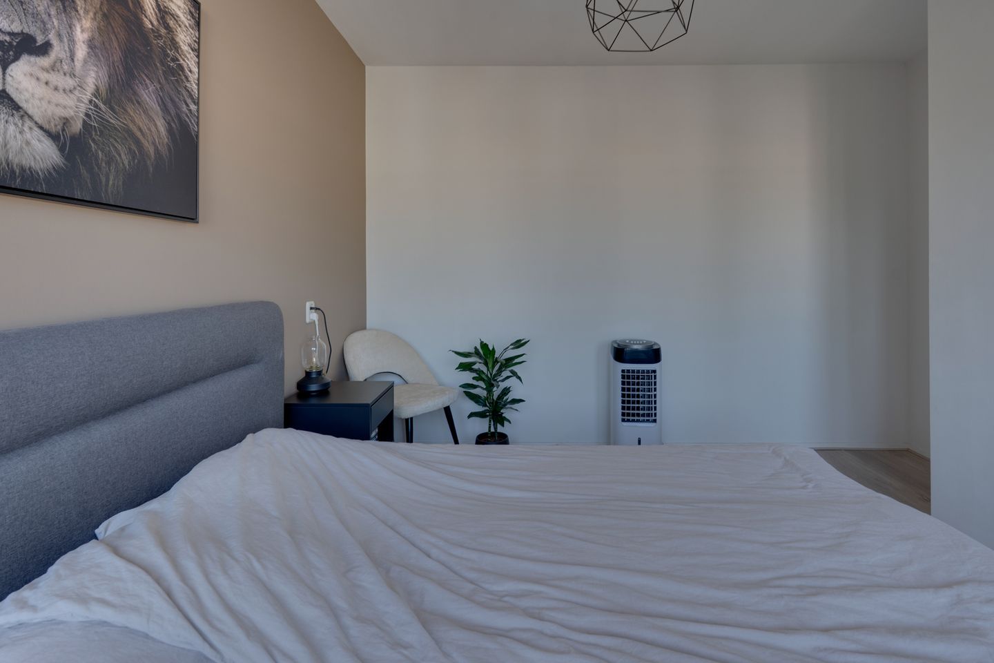 Foto 29 van Schaepmanstraat 51