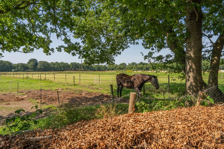 Photo 85 of Lonerbroekweg 15