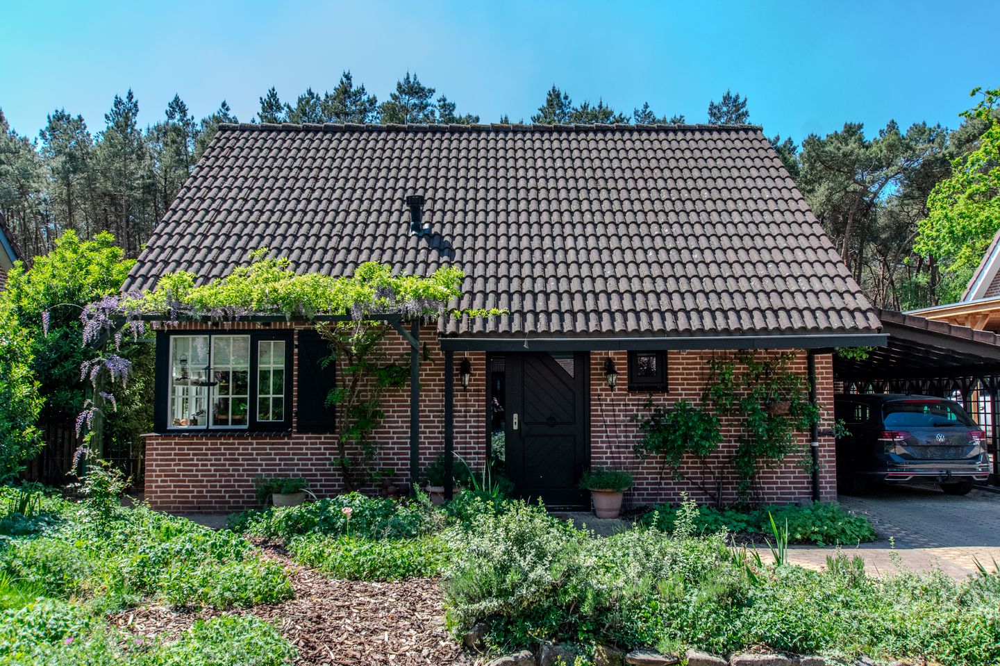 Photo 1 of Groenendries 50