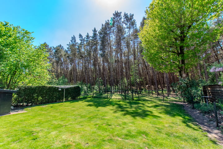 Photo 3 of Groenendries 50