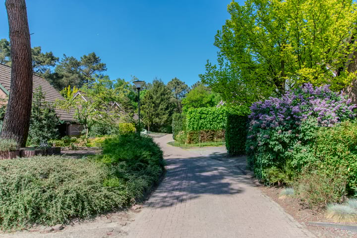 Photo 6 of Groenendries 50