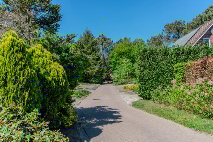 Photo 7 of Groenendries 50