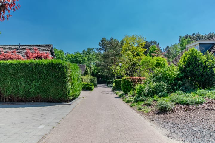 Photo 8 of Groenendries 50