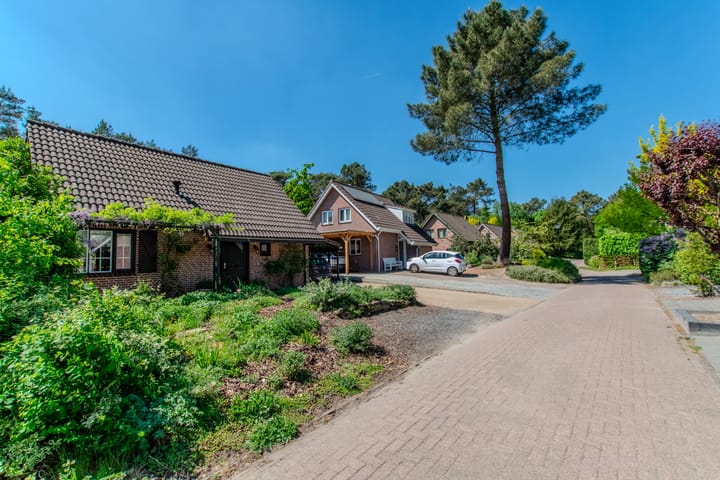 Photo 9 of Groenendries 50