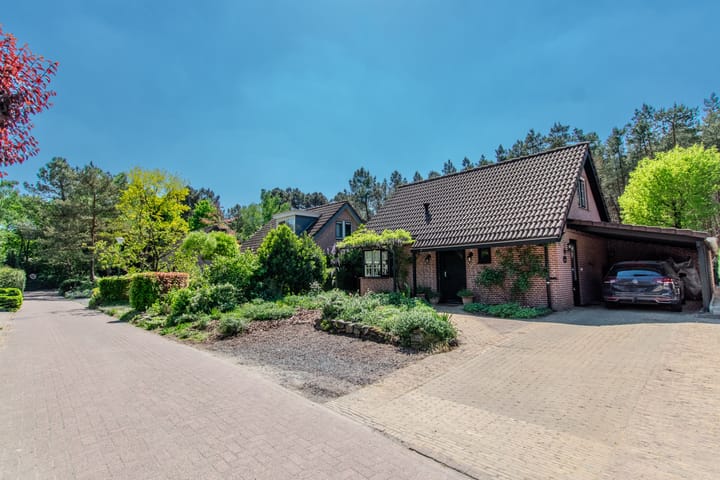 Photo 10 of Groenendries 50