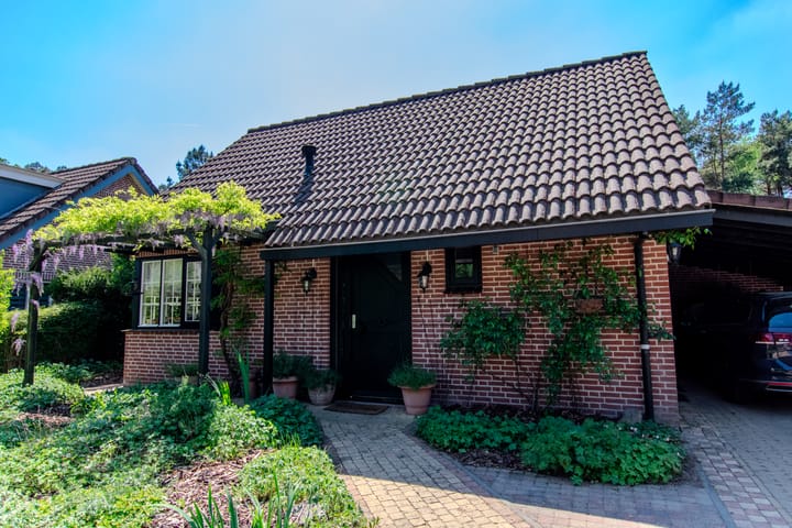 Photo 11 of Groenendries 50