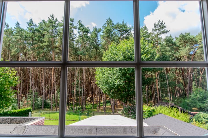 Photo 45 of Groenendries 50