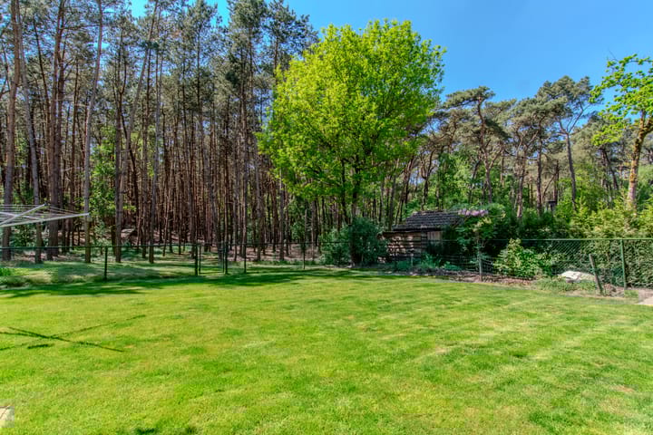 Photo 54 of Groenendries 50