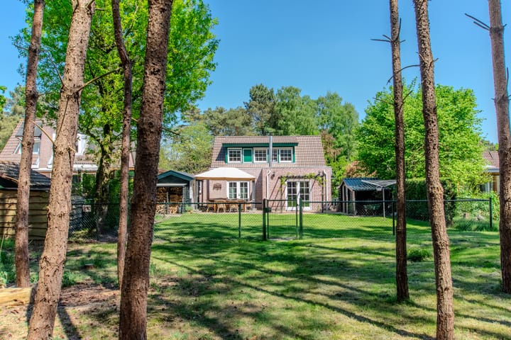 Photo 56 of Groenendries 50