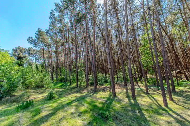 Photo 57 of Groenendries 50